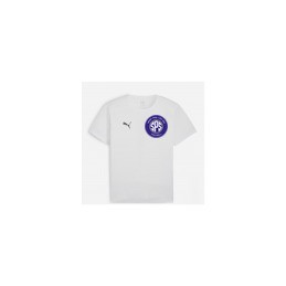 TEE SHIRT TEAMRISE ADULTE